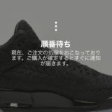 【スニーカーズ挑戦・プレ値調査】エア ジョーダン3　フライニット
