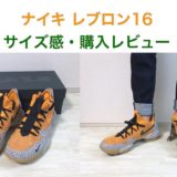 【サイズ感 解説】ナイキ レブロン16 