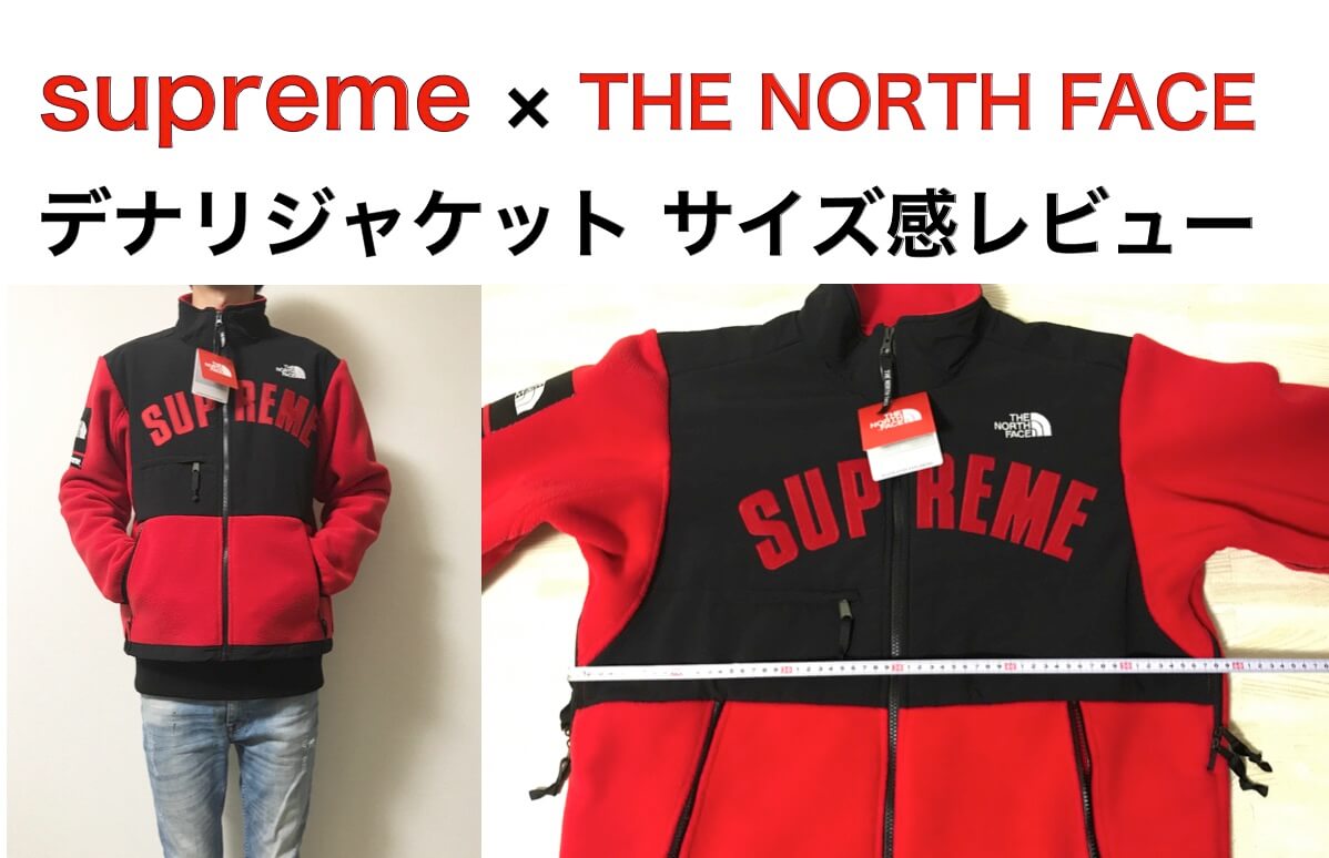 オイルペイント Supreme The North Face シュプリーム デナリ